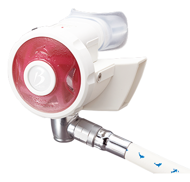 琉球サクラ(WRP)